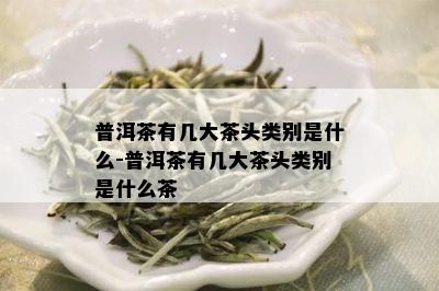 普洱茶有几大茶头类别是什么-普洱茶有几大茶头类别是什么茶