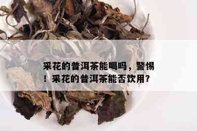 采花的普洱茶能喝吗，警惕！采花的普洱茶能否饮用？