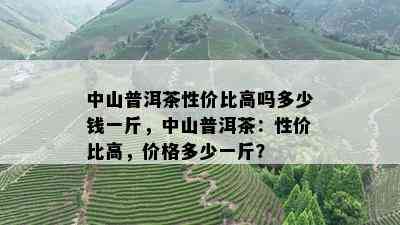 中山普洱茶性价比高吗多少钱一斤，中山普洱茶：性价比高，价格多少一斤？