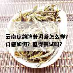 云南琼韵牌普洱茶怎么样？口感如何？值得尝试吗？