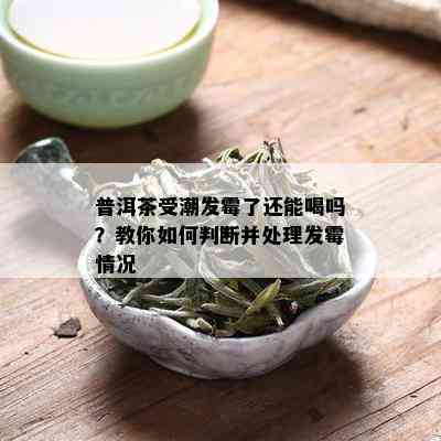 普洱茶受潮发霉了还能喝吗？教你如何判断并处理发霉情况