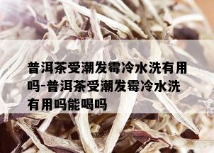 普洱茶受潮发霉冷水洗有用吗-普洱茶受潮发霉冷水洗有用吗能喝吗