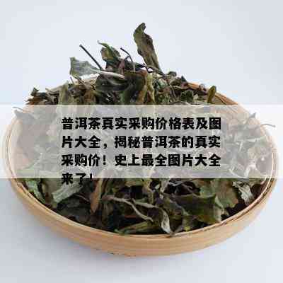 普洱茶真实采购价格表及图片大全，揭秘普洱茶的真实采购价！史上最全图片大全来了！