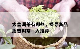 大普洱茶有哪些，探寻高品质普洱茶：大推荐