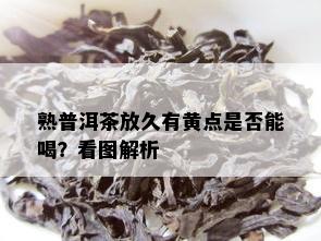 熟普洱茶放久有黄点是否能喝？看图解析