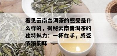 看见云南普洱茶的感受是什么样的，揭秘云南普洱茶的独特魅力：一杯在手，感受浓浓韵味