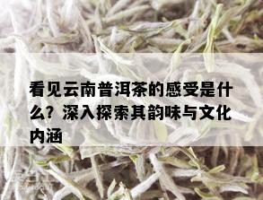 看见云南普洱茶的感受是什么？深入探索其韵味与文化内涵