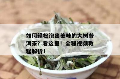 如何轻松泡出美味的大树普洱茶？看这里！全程视频教程解析！