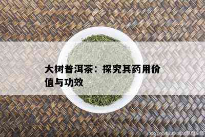 大树普洱茶：探究其药用价值与功效