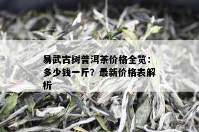 易武古树普洱茶价格全览：多少钱一斤？最新价格表解析