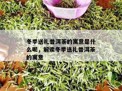 冬季送礼普洱茶的寓意是什么呢，解读冬季送礼普洱茶的寓意