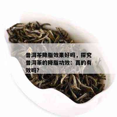 普洱茶降脂效果好吗，探究普洱茶的降脂功效：真的有效吗？