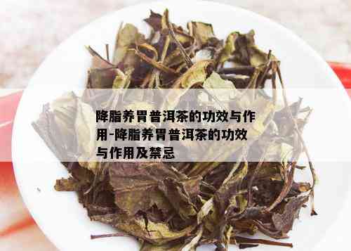 降脂养胃普洱茶的功效与作用-降脂养胃普洱茶的功效与作用及禁忌