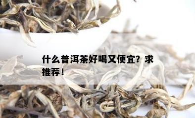 什么普洱茶好喝又便宜？求推荐！