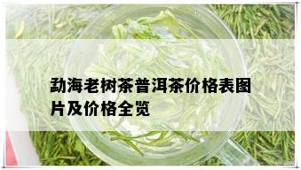 勐海老树茶普洱茶价格表图片及价格全览