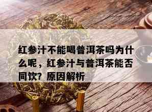 红参汁不能喝普洱茶吗为什么呢，红参汁与普洱茶能否同饮？原因解析