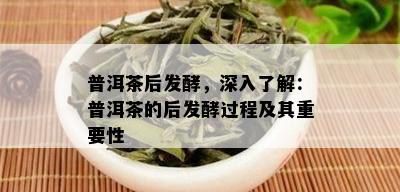 普洱茶后发酵，深入了解：普洱茶的后发酵过程及其重要性