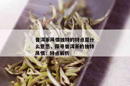 普洱茶风情独特的特点是什么意思，探寻普洱茶的独特风情：特点解析