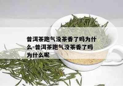 普洱茶跑气没茶香了吗为什么-普洱茶跑气没茶香了吗为什么呢