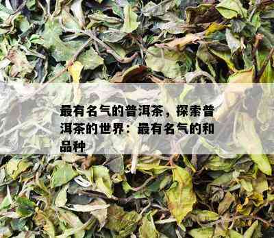 最有名气的普洱茶，探索普洱茶的世界：最有名气的和品种