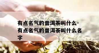 有点名气的普洱茶叫什么-有点名气的普洱茶叫什么名字