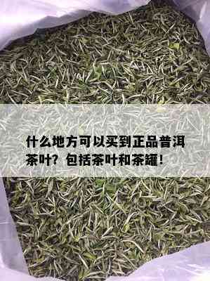 什么地方可以买到正品普洱茶叶？包括茶叶和茶罐！