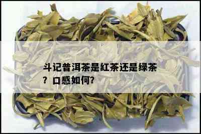 斗记普洱茶是红茶还是绿茶？口感如何？