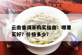 云南普洱茶购买指南：哪里买好？价格多少？