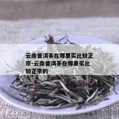 云南普洱茶在哪里买比较正宗-云南普洱茶在哪里买比较正宗的