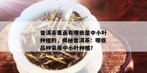 普洱茶里面有哪些是中小叶种植的，揭秘普洱茶：哪些品种采用中小叶种植？