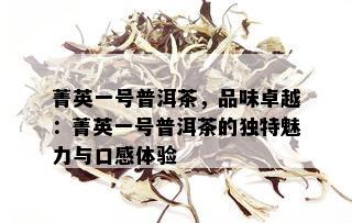 菁英一号普洱茶，品味卓越：菁英一号普洱茶的独特魅力与口感体验