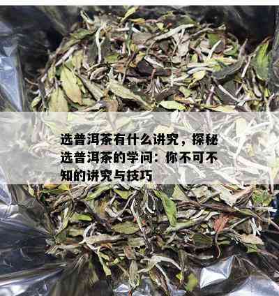 选普洱茶有什么讲究，探秘选普洱茶的学问：你不可不知的讲究与技巧