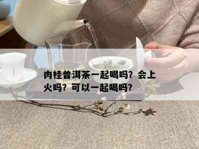 肉桂普洱茶一起喝吗？会上火吗？可以一起喝吗？