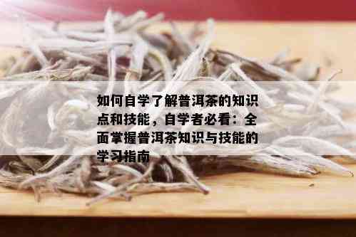 如何自学了解普洱茶的知识点和技能，自学者必看：全面掌握普洱茶知识与技能的学习指南