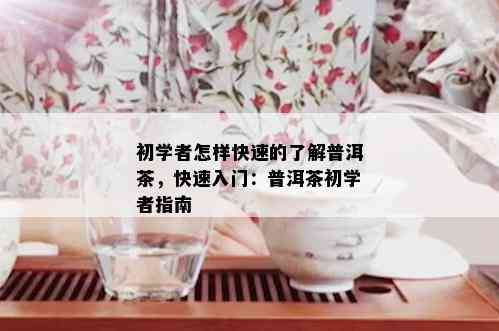 初学者怎样快速的了解普洱茶，快速入门：普洱茶初学者指南