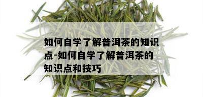 如何自学了解普洱茶的知识点-如何自学了解普洱茶的知识点和技巧