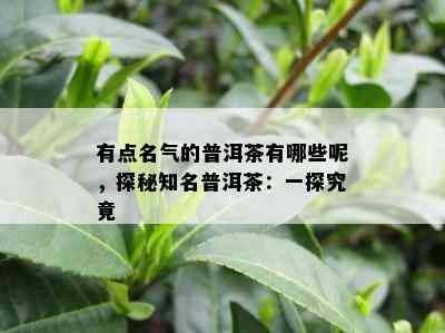 有点名气的普洱茶有哪些呢，探秘知名普洱茶：一探究竟