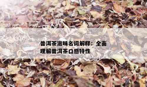 普洱茶滋味名词解释：全面理解普洱茶口感特性