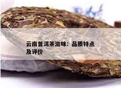 云南普洱茶滋味：品质特点及评价