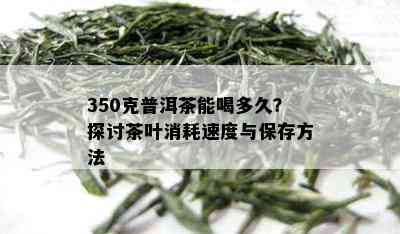 350克普洱茶能喝多久？探讨茶叶消耗速度与保存方法