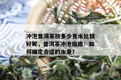 冲泡普洱茶放多少克水比较好呢，普洱茶冲泡指南：如何确定合适的水量？