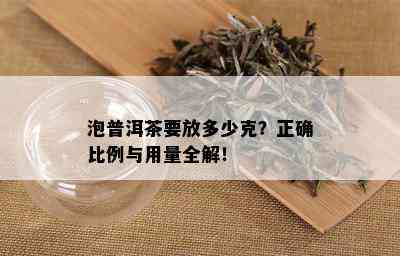 泡普洱茶要放多少克？正确比例与用量全解！