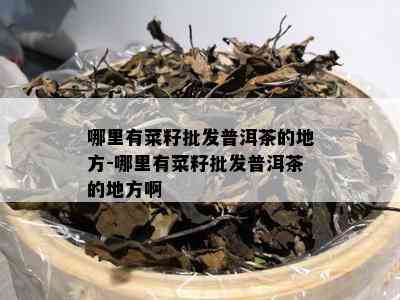 哪里有菜籽批发普洱茶的地方-哪里有菜籽批发普洱茶的地方啊