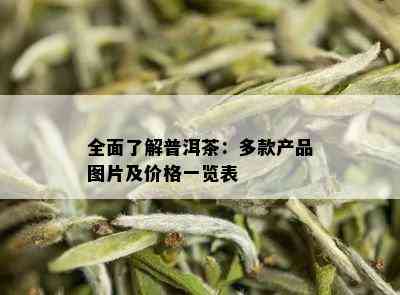 全面了解普洱茶：多款产品图片及价格一览表