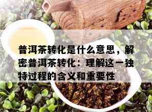 普洱茶转化是什么意思，解密普洱茶转化：理解这一独特过程的含义和重要性