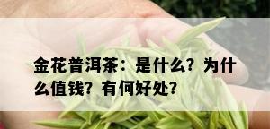 金花普洱茶：是什么？为什么值钱？有何好处？