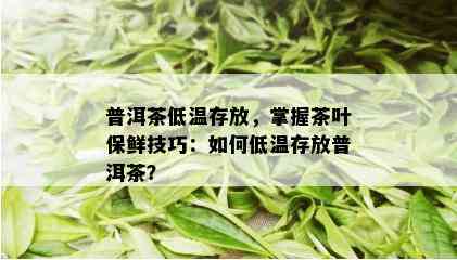 普洱茶低温存放，掌握茶叶保鲜技巧：如何低温存放普洱茶？