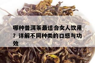 哪种普洱茶最适合女人饮用？详解不同种类的口感与功效