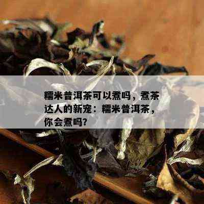 糯米普洱茶可以煮吗，煮茶达人的新宠：糯米普洱茶，你会煮吗？