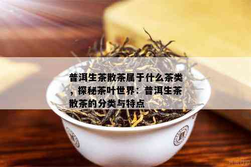 普洱生茶散茶属于什么茶类，探秘茶叶世界：普洱生茶散茶的分类与特点